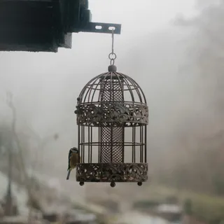 182. Ловушки саморазвития