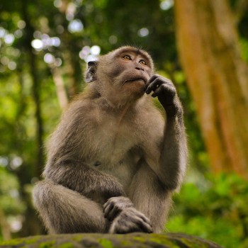 175. Системы согласованности или как мы понимаем друг друга
