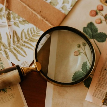 176. Насколько здравый смысл действительно здравый?